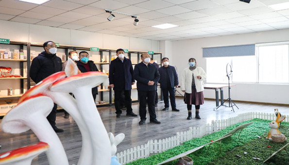 泌阳县领导赴南阳市西峡县、内乡县考察食用菌产业
